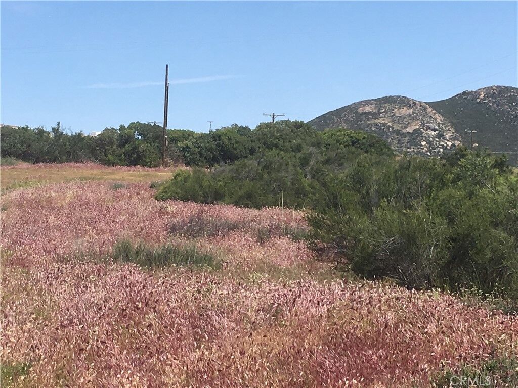 Property Photo: 7 Willow Creek Road CA 92544