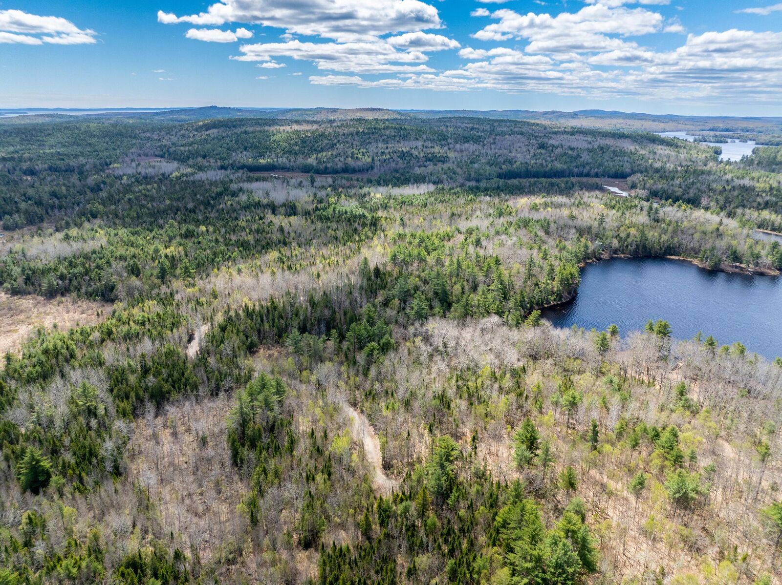 Property Photo: Lot 99 X Road ME 04619