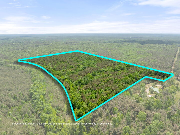 Property Photo:  County Road 377  MS 38833 