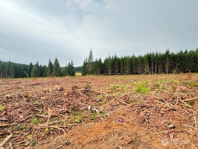 Property Photo:  119  Woodberry Lane  WA 98596 