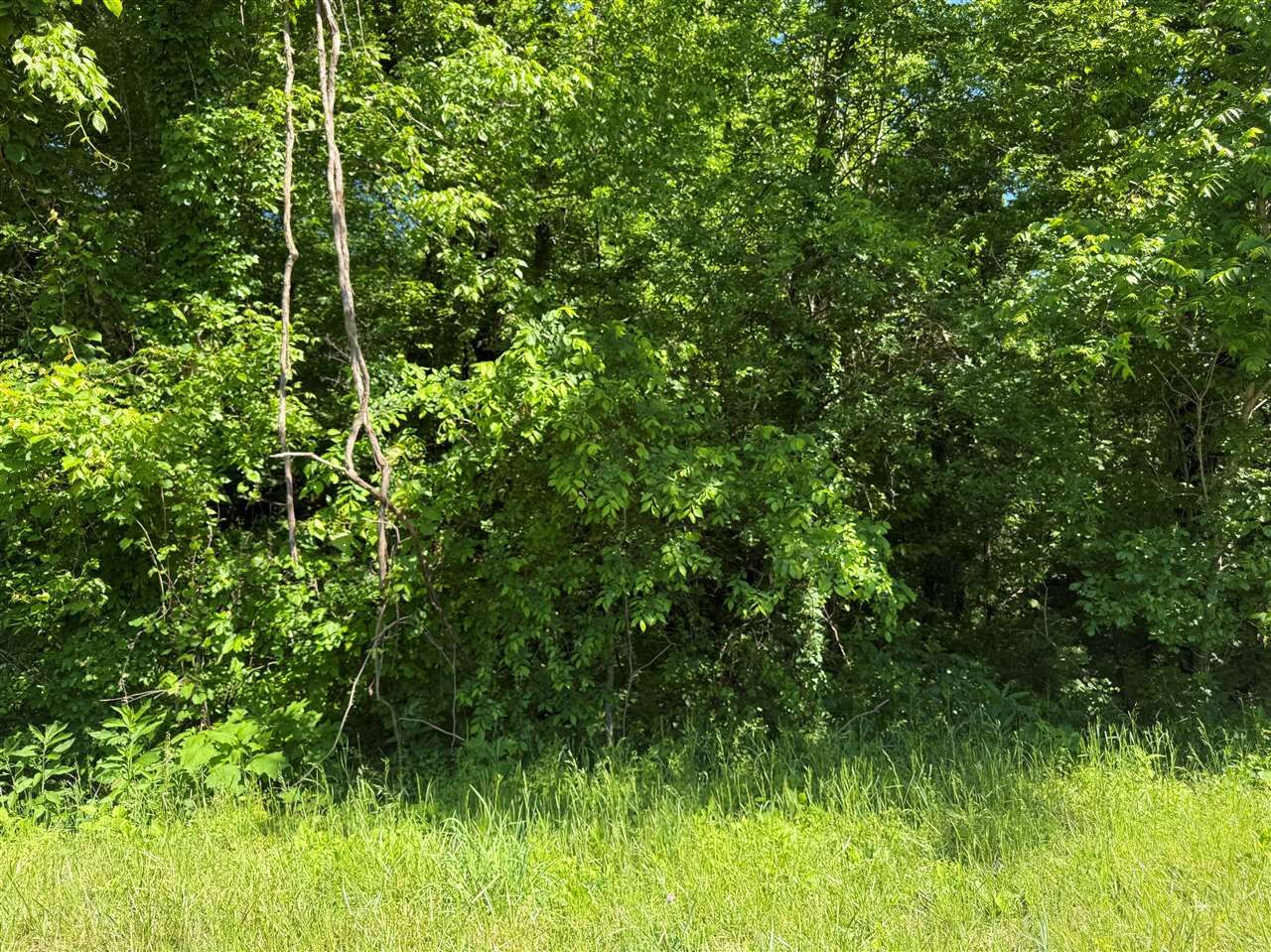 Property Photo:  9601 Boatman Road  KY 42171 