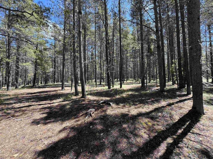 Property Photo:  0000 No Address  WY 82601 