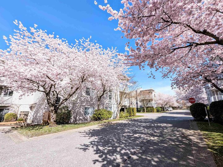Property Photo:  9948 151 Street 311  BC V3R 0V6 
