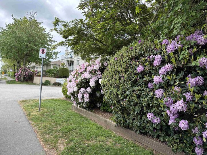 Property Photo:  10077 156 Street 158  BC V3R 4L6 