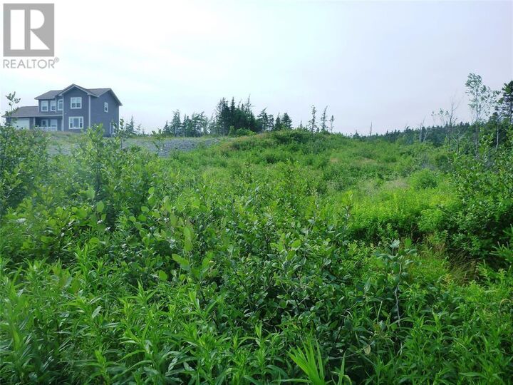 Property Photo:  2-4 Snows Pond Road  NL A0A 3C0 