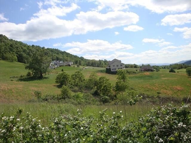Property Photo: Birdie Drive WV 24963