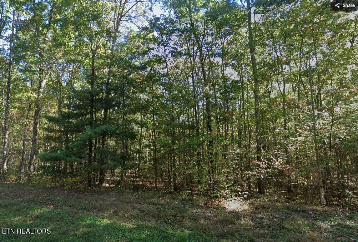 Property Photo:  0 Jay Loop Rd  TN 38556 