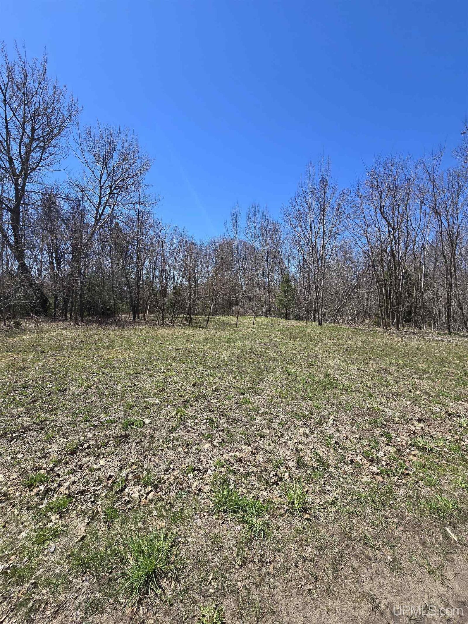 Property Photo: Tbd Crestwood Drive MI 49930