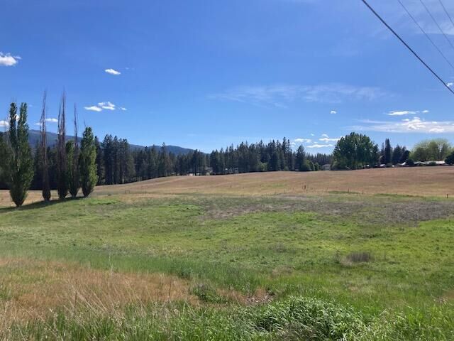Property Photo:  1xxx S Juniper St  WA 99141 
