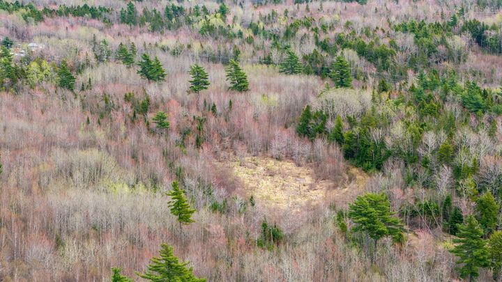Property Photo:  Lot 24-1 Little Harbour Road  NS B2H 3T5 