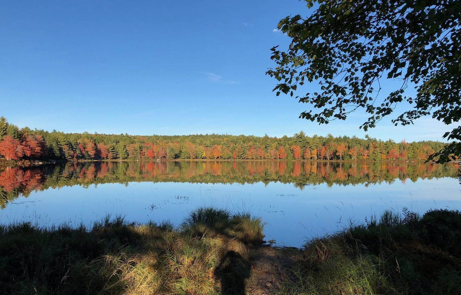 Photo de la propriété:  Lot 17 1083 Sand Cove Road  NS B0T 1X0 