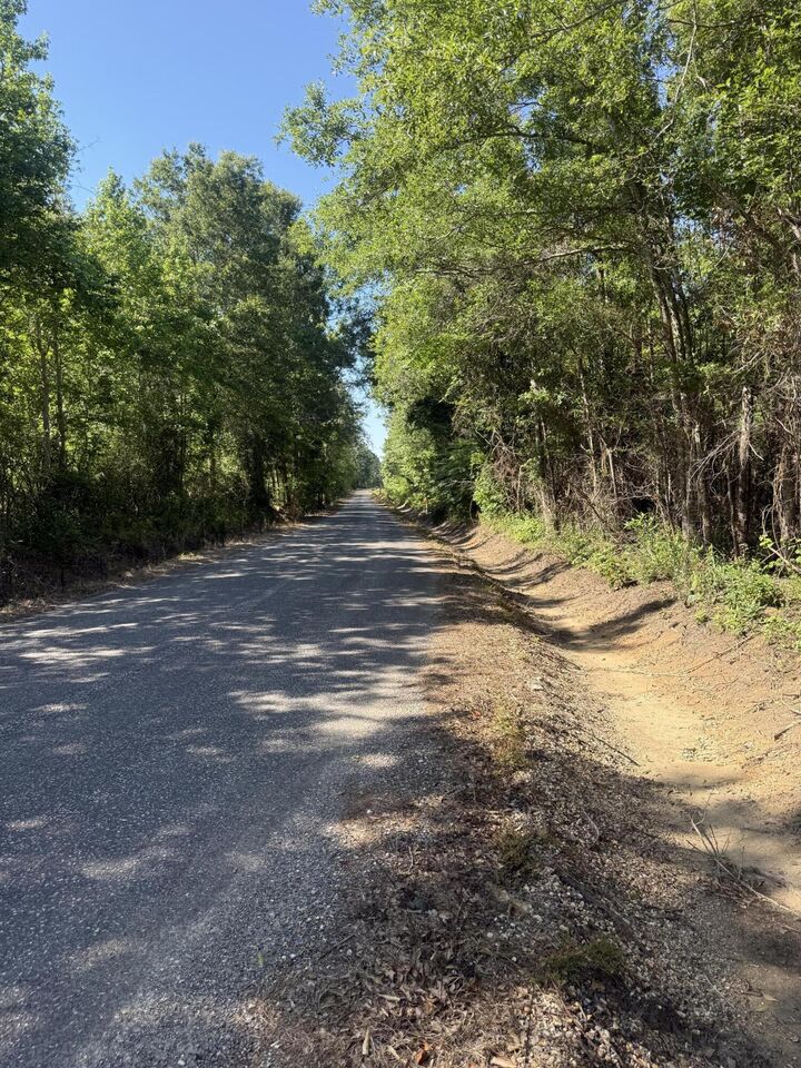 Property Photo:  Clayton Parker Loop  LA 70634 