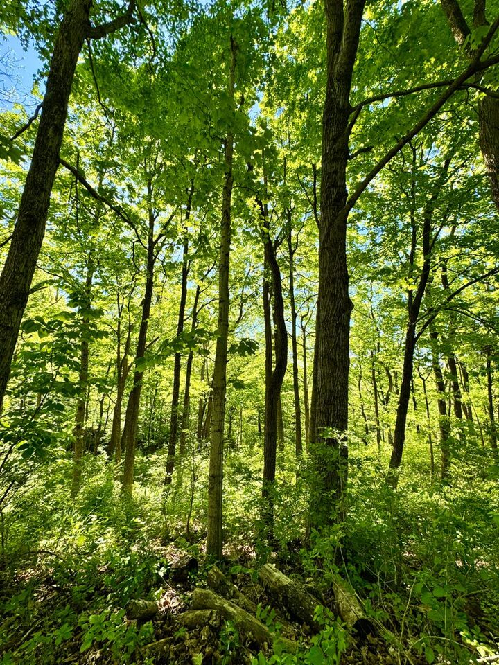 Property Photo:  0 Kentucky Avenue  IN 47060 