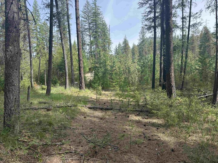 Property Photo:  67 First Thought Loop  WA 99146 