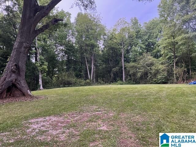 Property Photo: 877 Bedwell Street 0 AL 36264