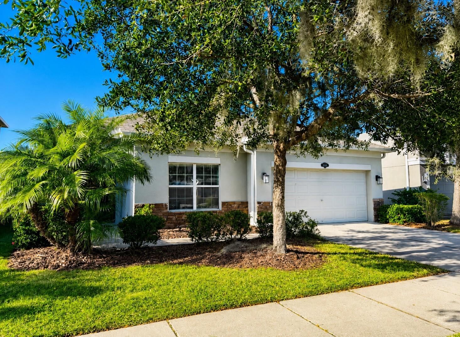Property Photo:  10662 Pictorial Park Drive  FL 33647 