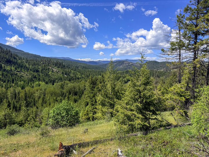 Property Photo:  3499tbd Waitts Lake South Rd  WA 99181 