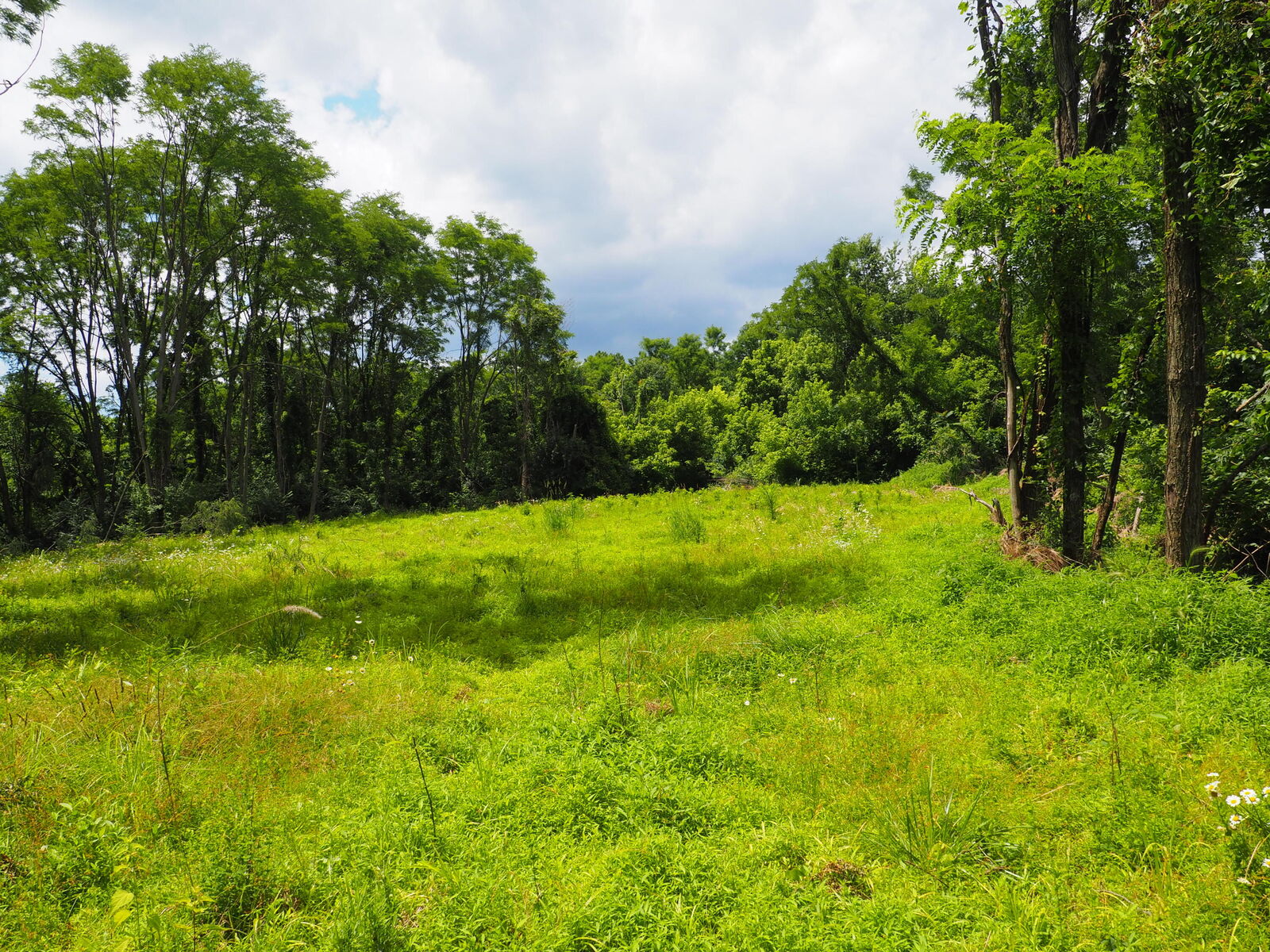 Property Photo:  8185 Camp Ernst Road  KY 41005 
