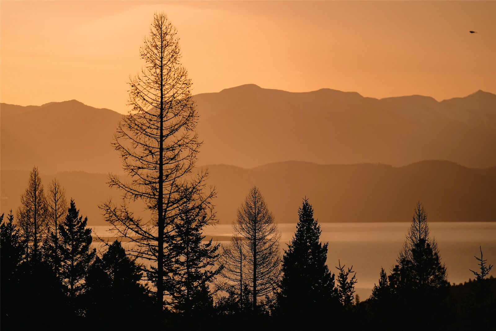 Property Photo: 605 Cramer Creek Road MT 59932