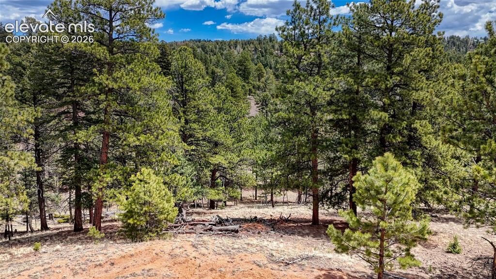 Property Photo:  16 View Circle  CO 80816 