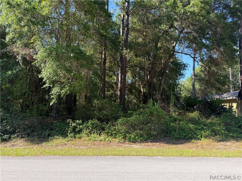 Property Photo:  10927 N Airway Loop  FL 34434 
