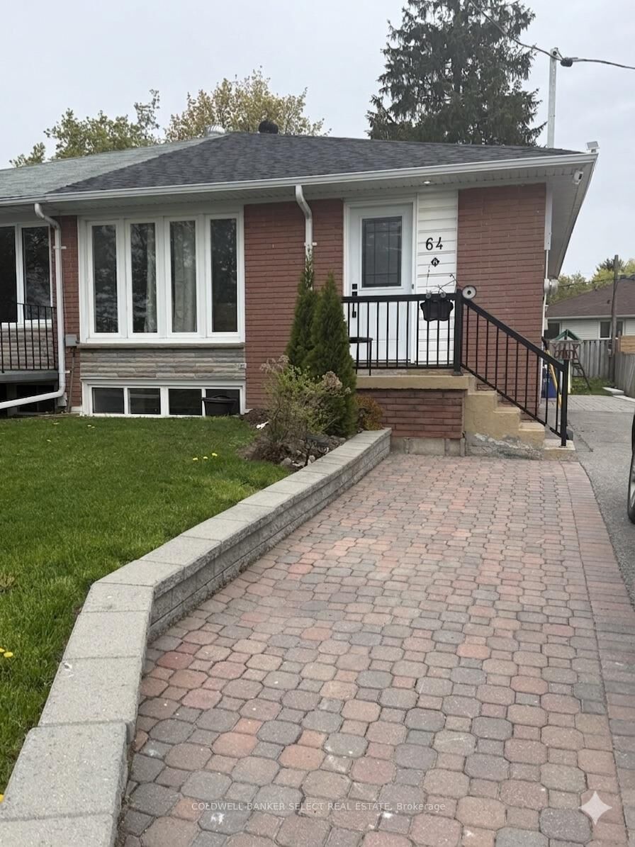 Property Photo:  64 Walter Avenue Lower  ON L3Y 2T3 