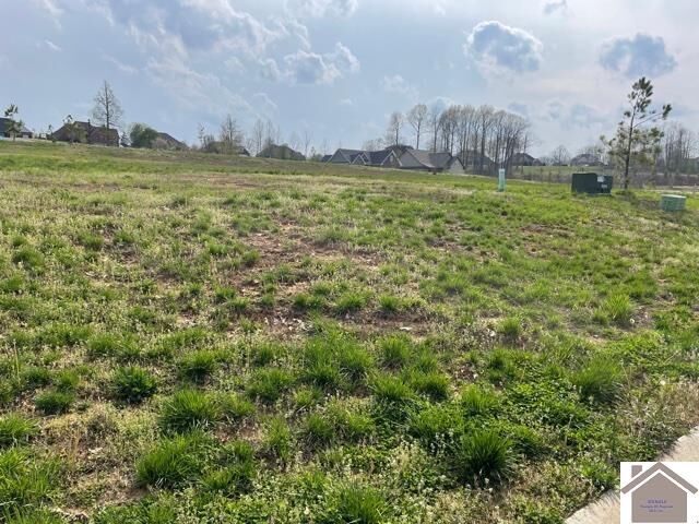 Property Photo: 165 Low Ridge Lane KY 42003
