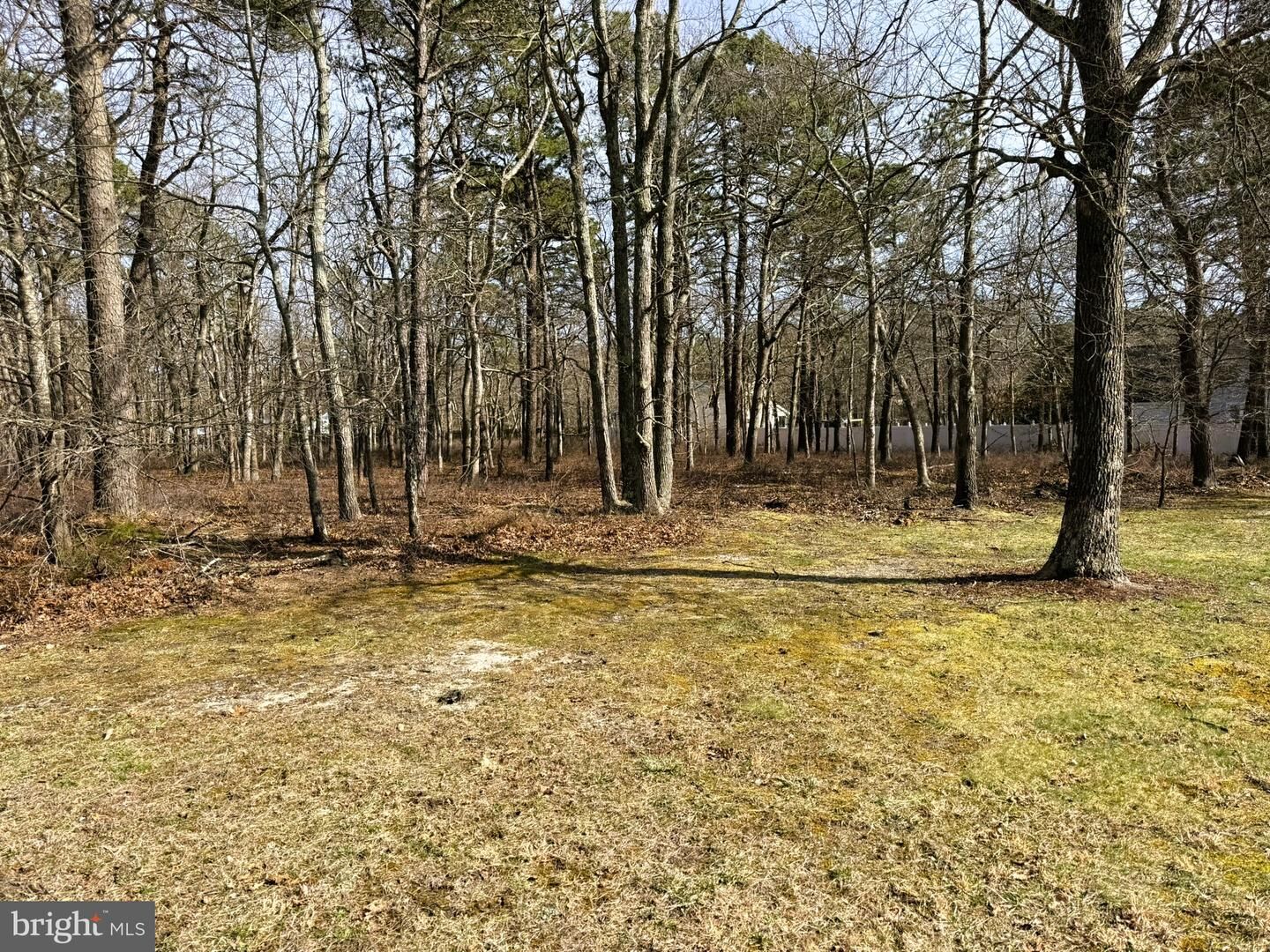 Property Photo:  18 Pinewood Drive  NJ 08087 