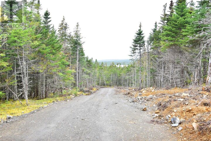 Property Photo:  Lot 3 Second Pond Road  NL A0A 1G0 