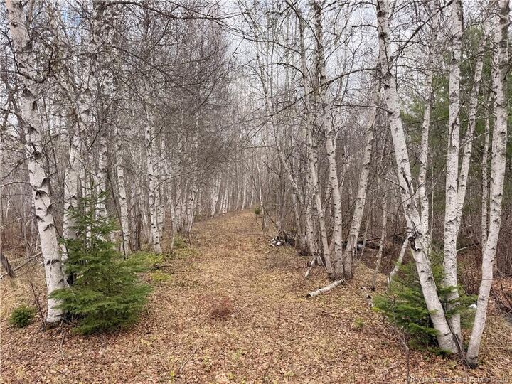 Property Photo:  Lots McLaughlin Road  NB E4W 3S6 
