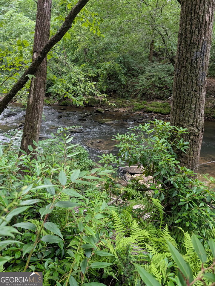 Property Photo:  Lot 32 Byers Road  GA 30512 