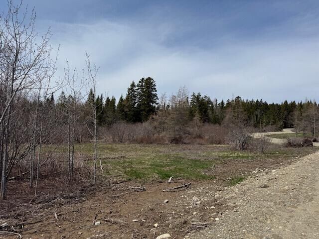 Property Photo: Lot 5 Holmes Bay Farms Road ME 04691