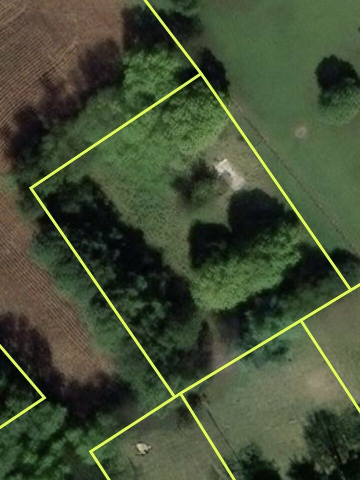 Property Photo:  346 E Park St  KY 42234 