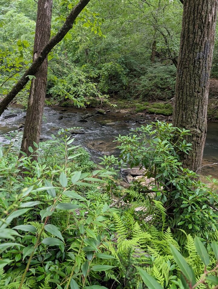 Property Photo: Lot 32 Byers Road GA 30512