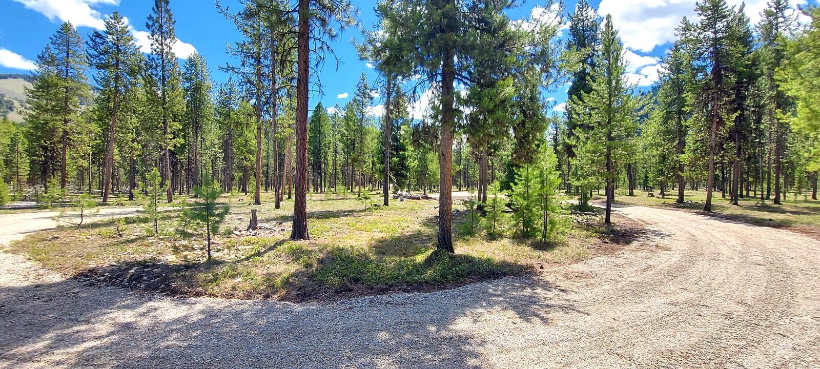 Property Photo:  Nhn (Parcel B) Deer Walk Way  MT 59829 