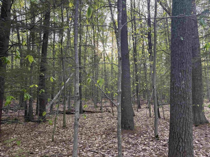 Property Photo: Lot 80 Currier Road NH 03034