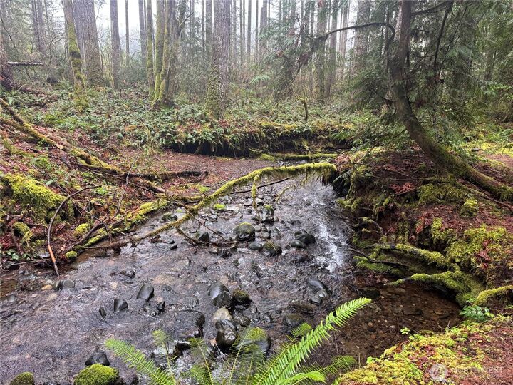 Property Photo:  300 N Mount Jupiter  WA 98548 