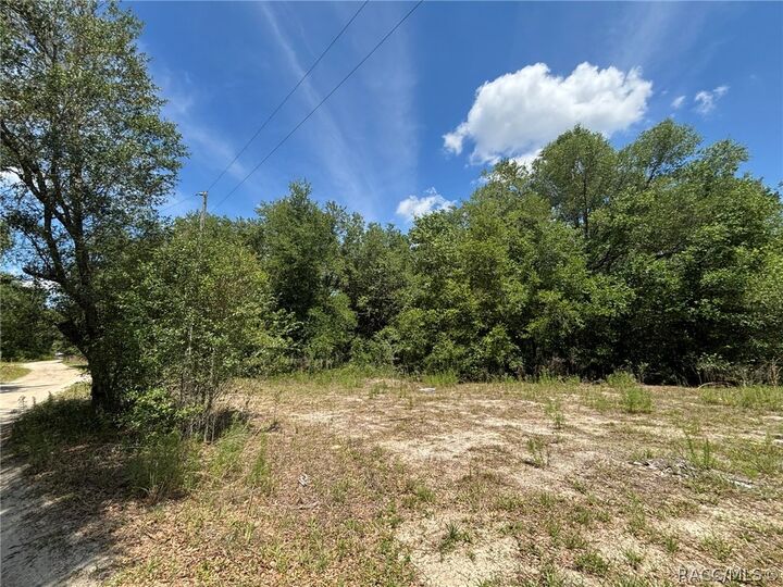 Property Photo:  2608 Polk Street  FL 34453 
