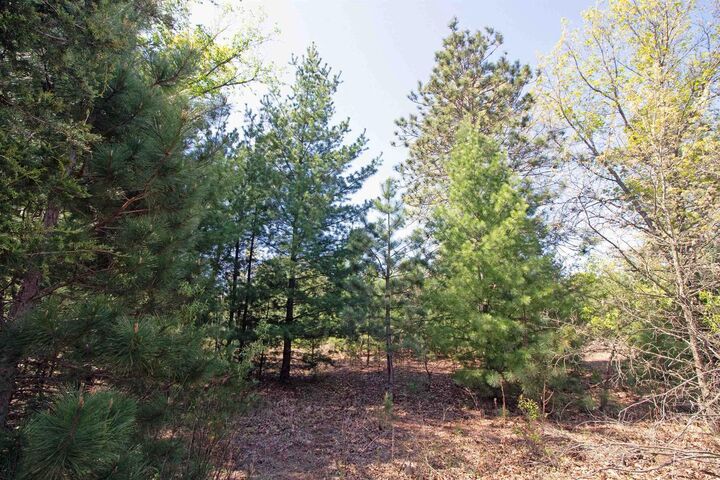 Property Photo:  Lot20 Timber Trail  WI 53588 