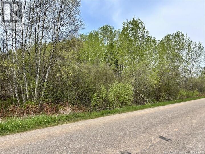 Property Photo:  Lot Blakney Road  NB E4Z 2V1 