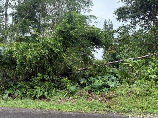 Property Photo: 15-716 S Puni Mauka Loop HI 96778