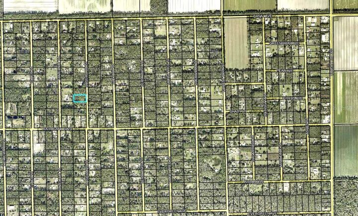 Property Photo:  1352 Rosewood Street  FL 32110 