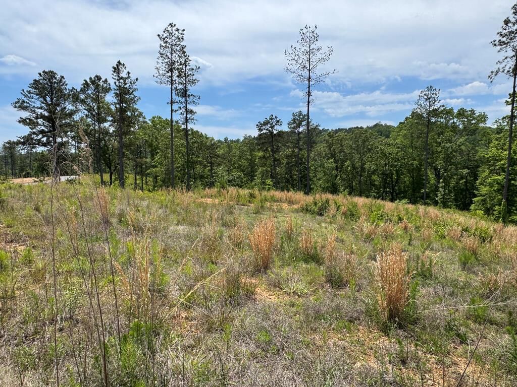 Property Photo:  Lot 243 Spear Point Dr  GA 30175 