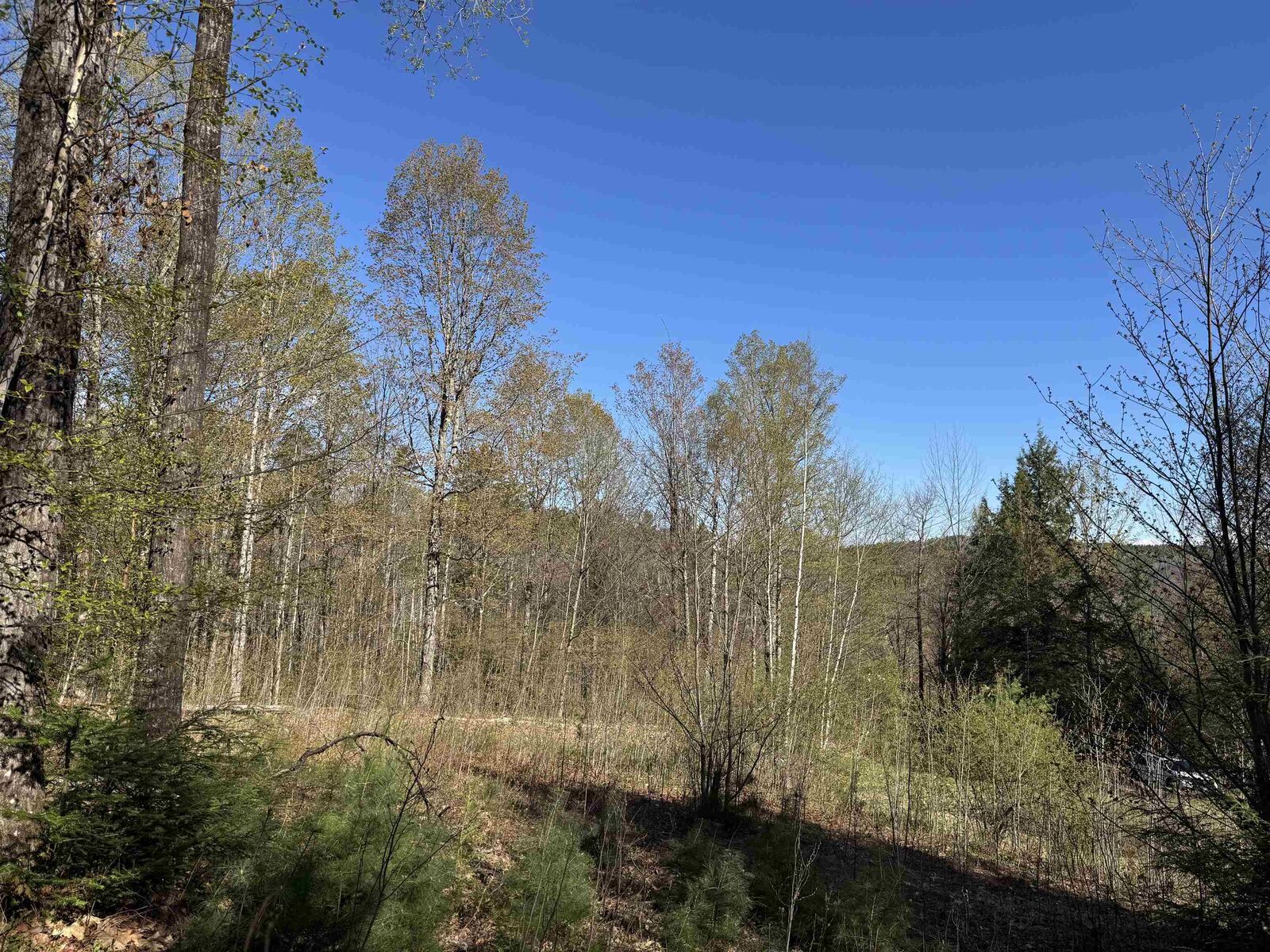 Property Photo:  807 Kidderhood Road  VT 05083 