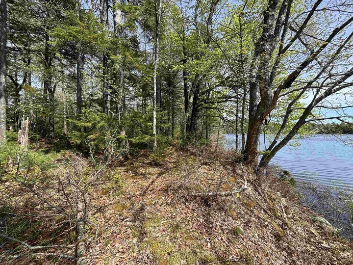 Property Photo:  Lot 7-23 Highway 325  NS B4V 8H3 