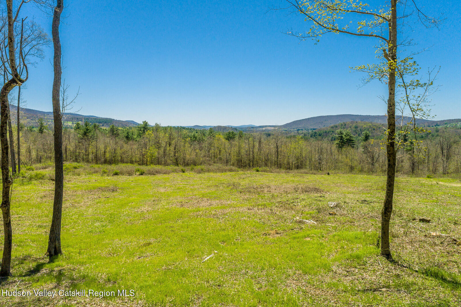 Property Photo: 0 Mitchell NY 12529