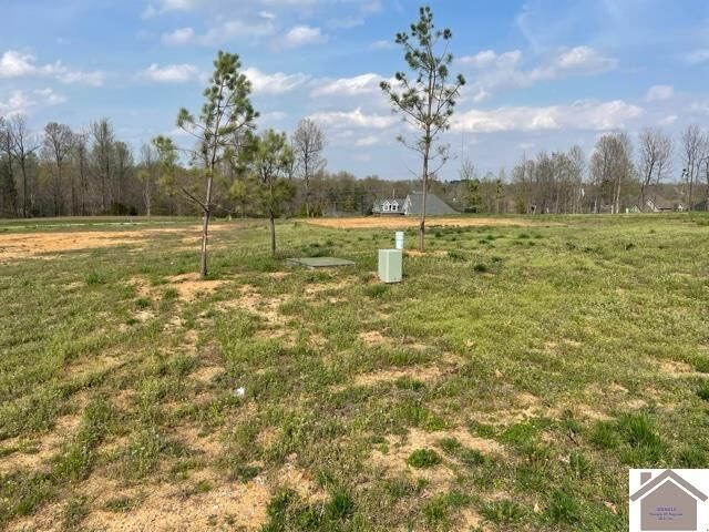 Property Photo: 190 Falling Brook Dr KY 42003