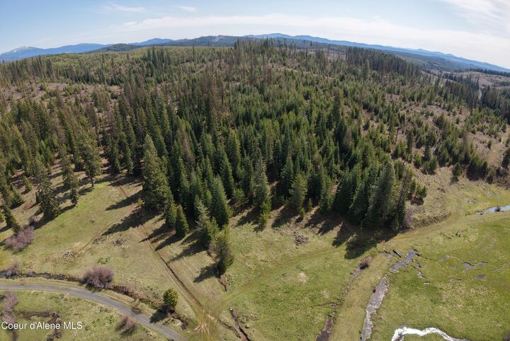 Property Photo:  Nka Park Road 100 Acres  ID 83827 