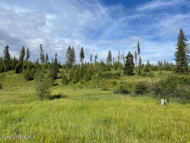 Property Photo:  Nka Park Road 100 Acres  ID 83827 