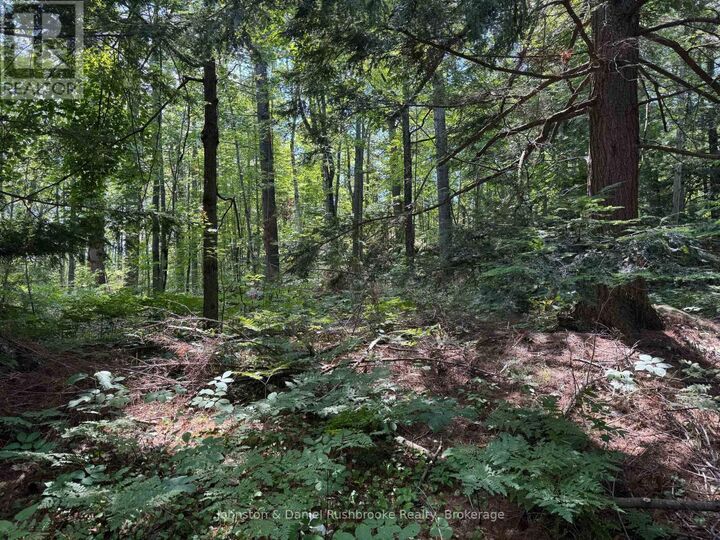 Property Photo:  2 Island 24lm (Denison)  ON P1P 1R2 